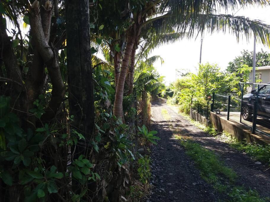 Location Saisonniere Le Clos Des Agrumes 圣安娜 外观 照片